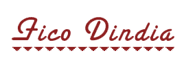 Fico-Dindiaのロゴ